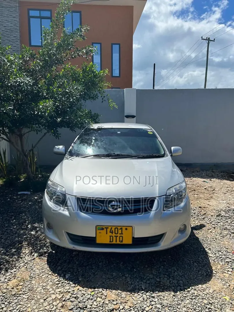 Toyota Corolla Fielder 2010 Silver