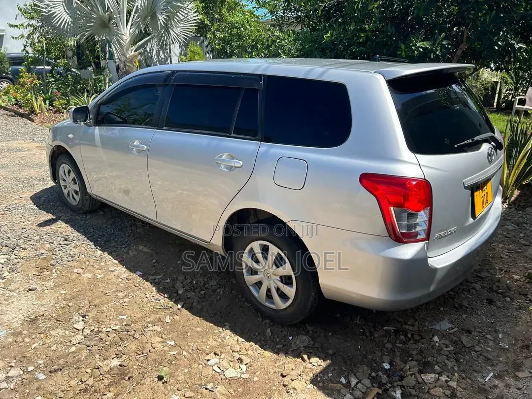 Toyota Corolla Fielder 2010 Silver