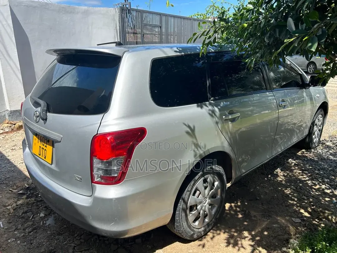 Toyota Corolla Fielder 2010 Silver