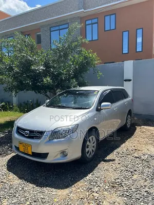 Toyota Corolla Fielder 2010 Silver