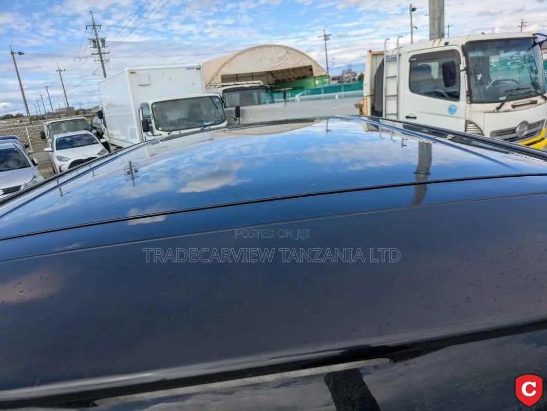 Toyota Alphard 2010 Black