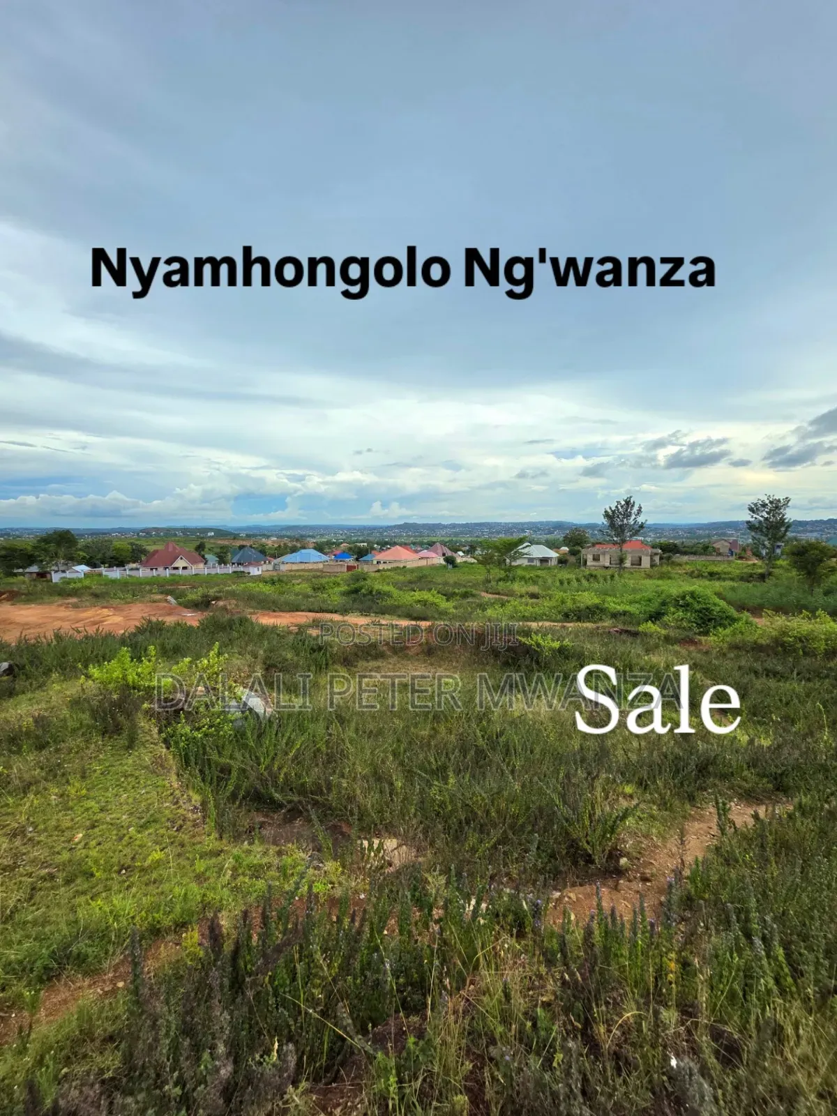 Nyamhongolo