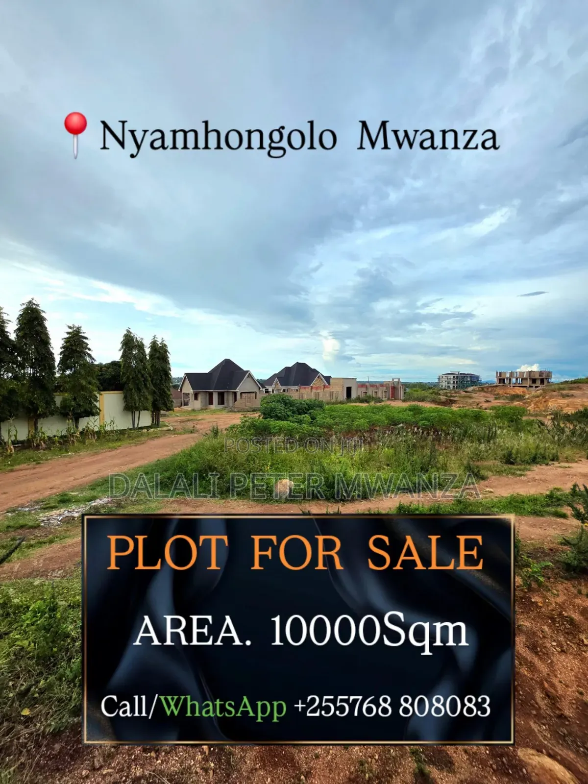 Nyamhongolo