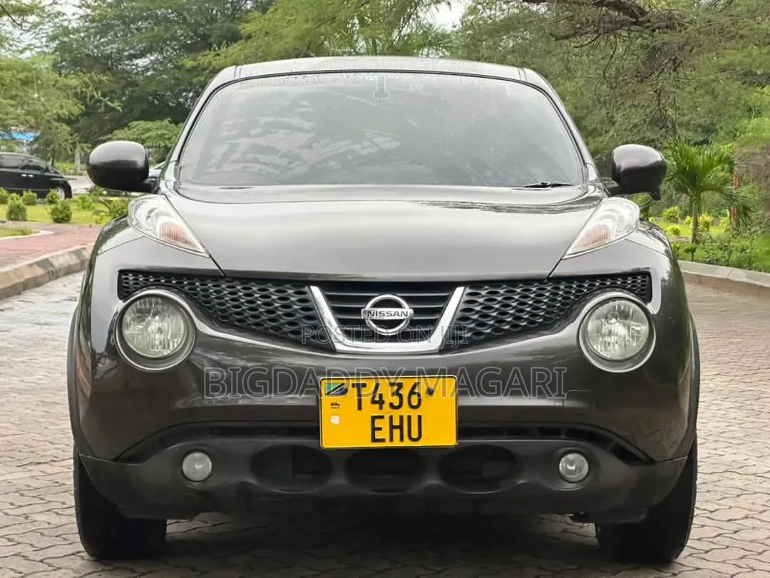 Nissan Juke 2012 Gray