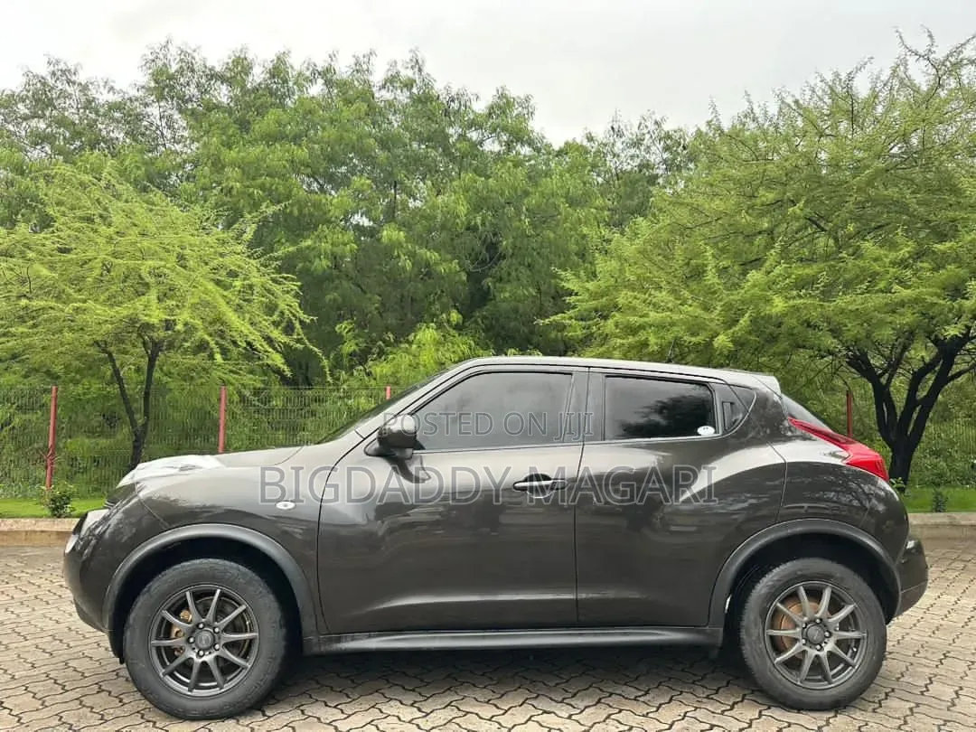 Nissan Juke 2012 Gray