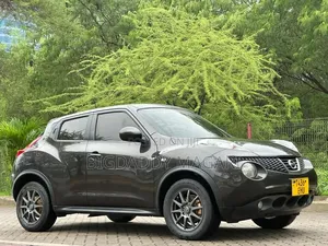 Nissan Juke 2012 Gray