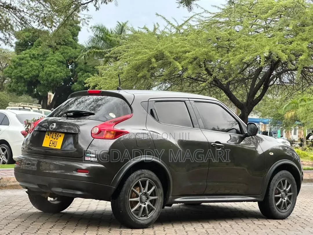 Nissan Juke 2012 Gray