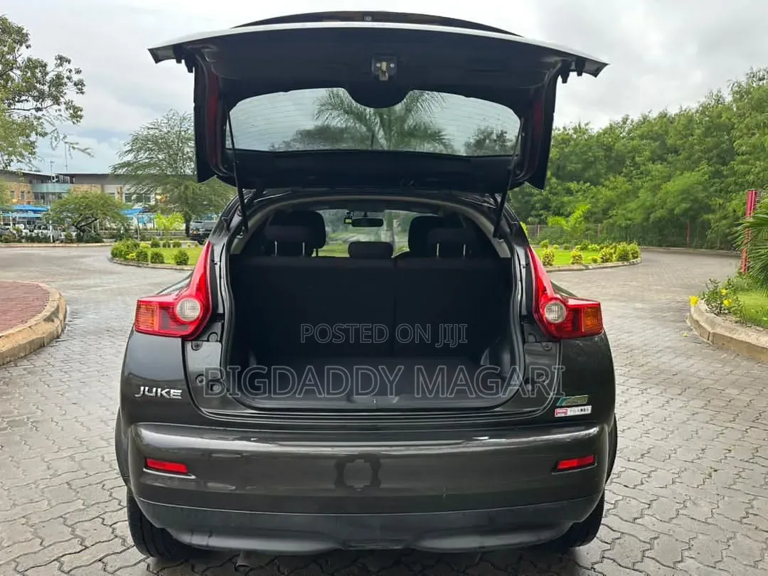 Nissan Juke 2012 Gray