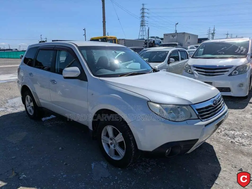 Subaru Forester 2010 Pearl