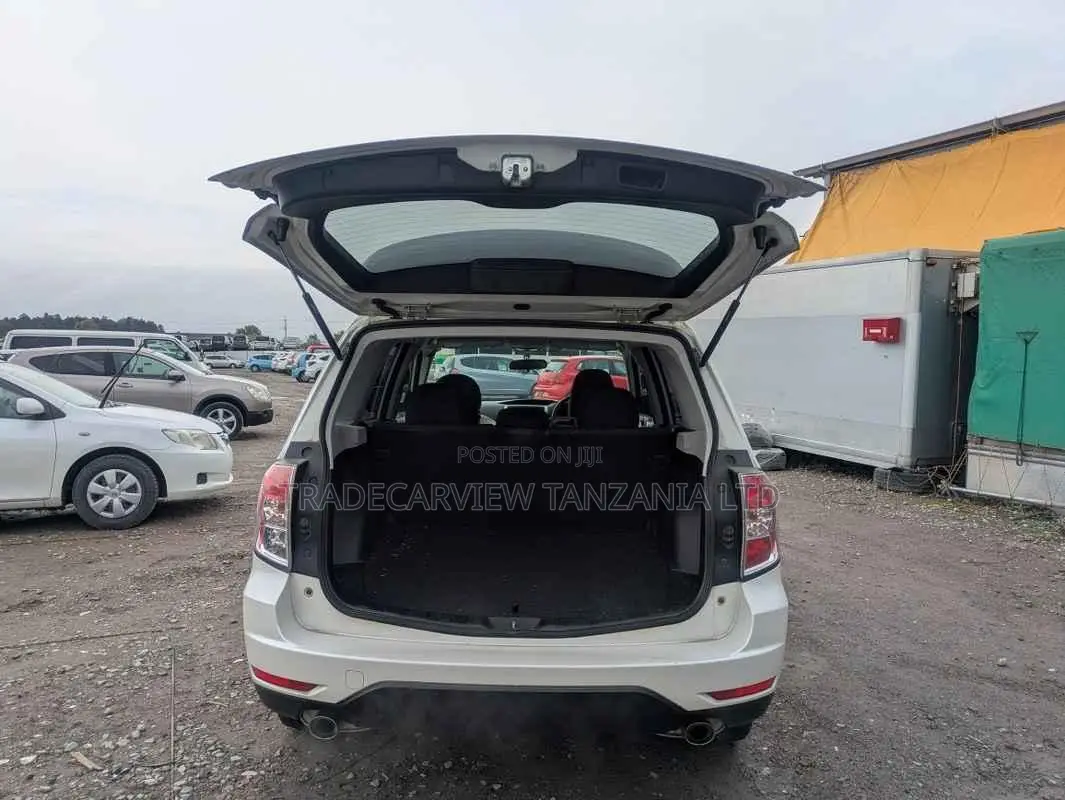 Subaru Forester 2010 Pearl