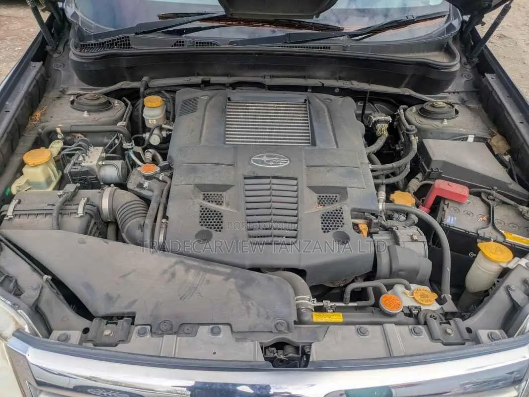 Subaru Forester 2010 Gray