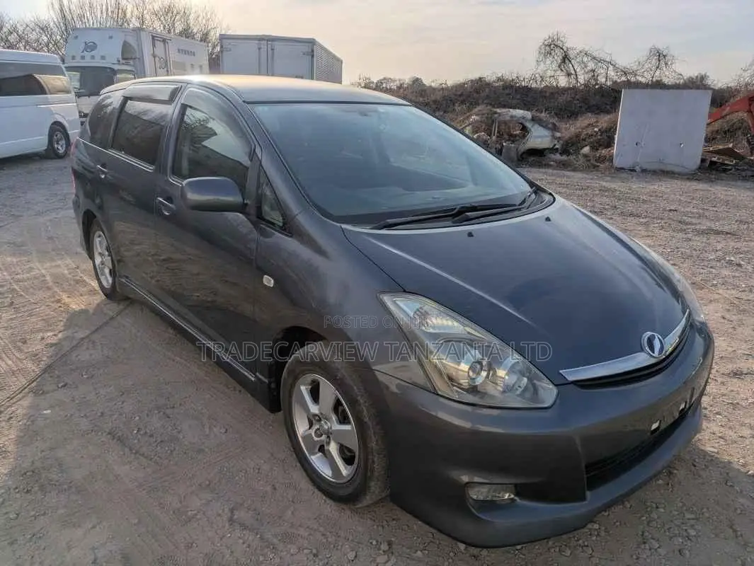 Toyota Wish 2007 Gray
