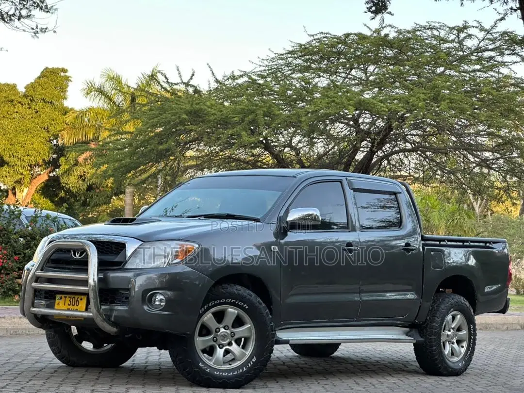 Toyota Hilux 2006 Gray