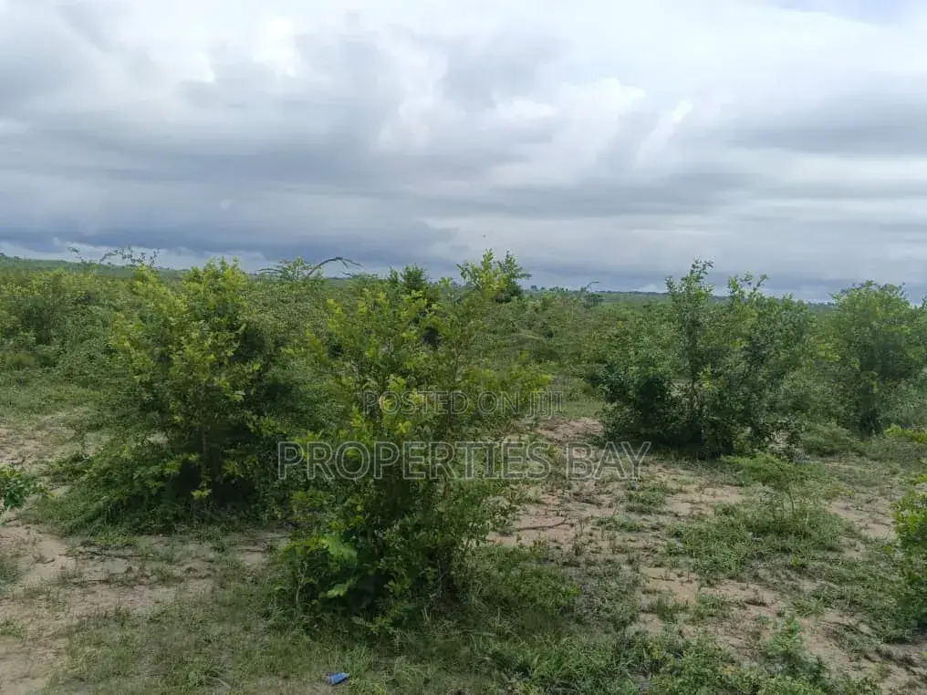 Shamba Linauzwa