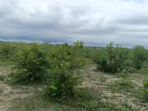 Shamba Linauzwa