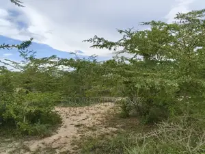 Shamba Linauzwa