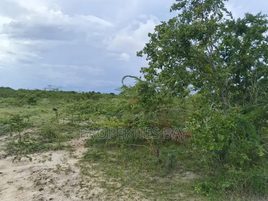 Shamba Linauzwa