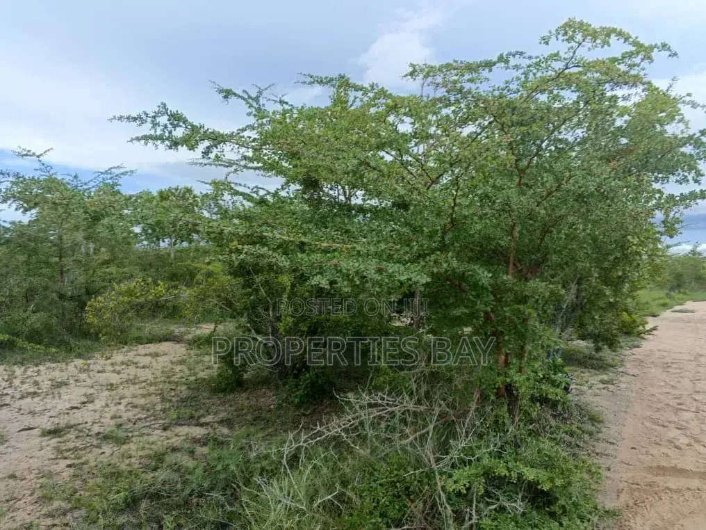 Shamba Linauzwa