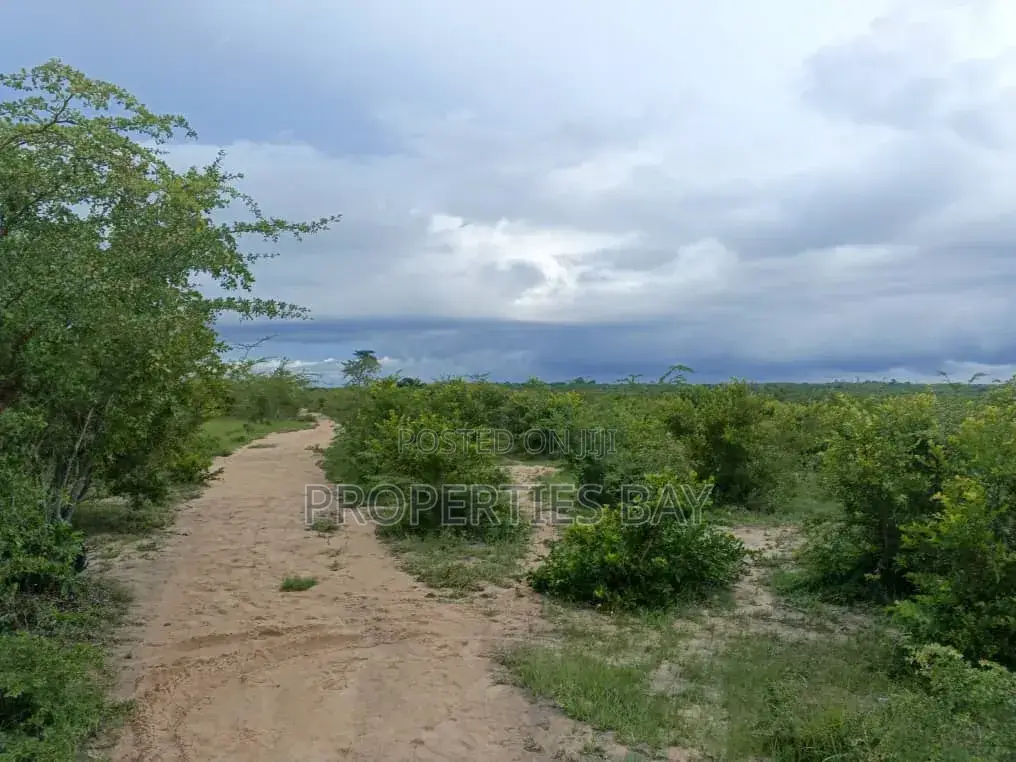 Shamba Linauzwa