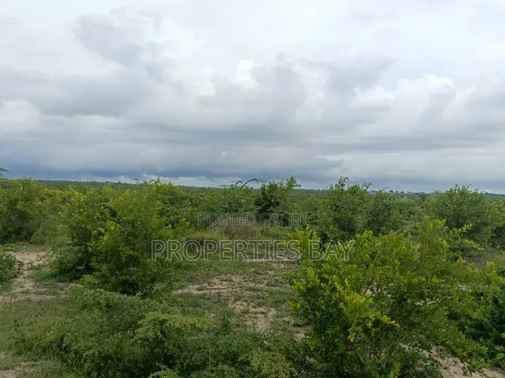 Shamba Linauzwa