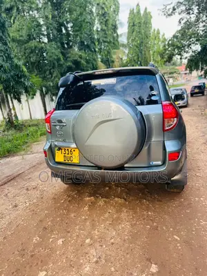 Toyota RAV4 2007 Gray