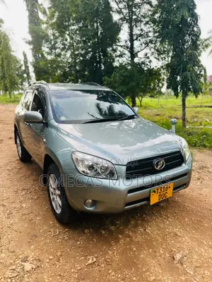 Toyota RAV4 2007 Gray