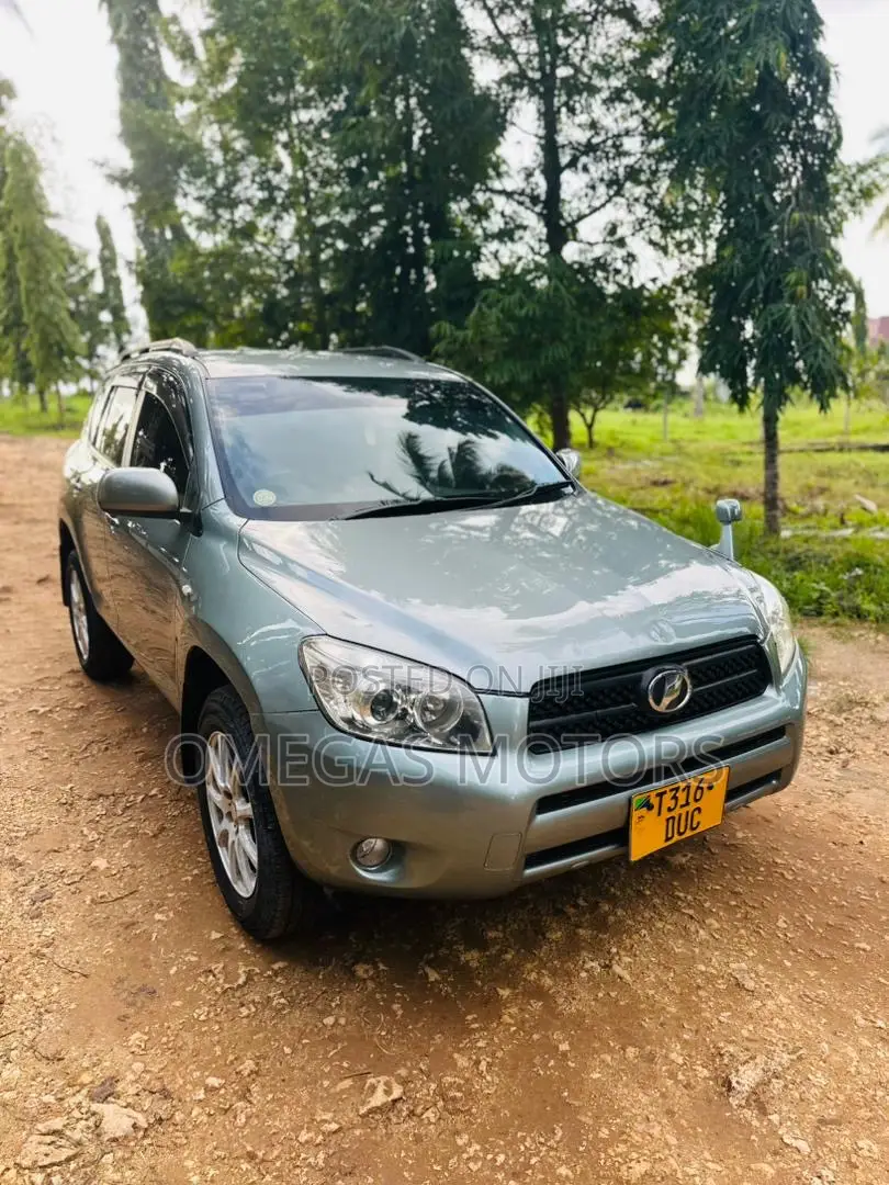 Toyota RAV4 2007 Gray