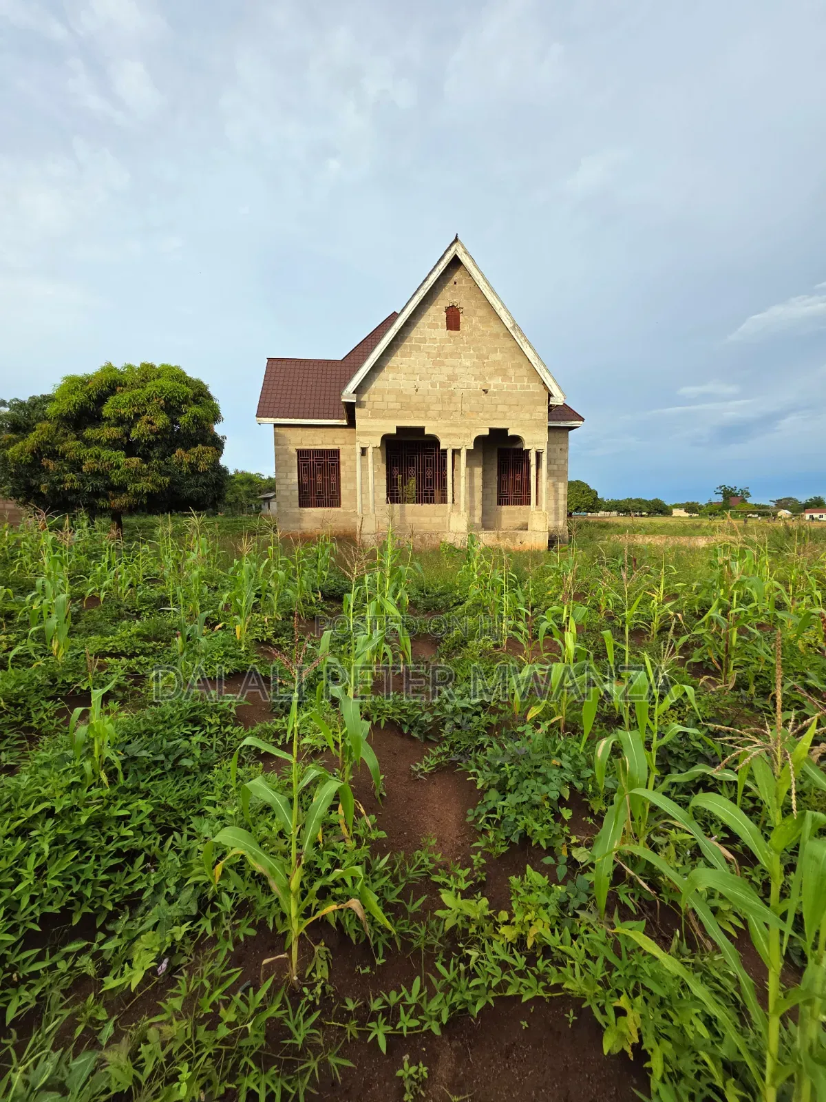3bdrm House in Nyamhongolo, Ilemela Ward for sale