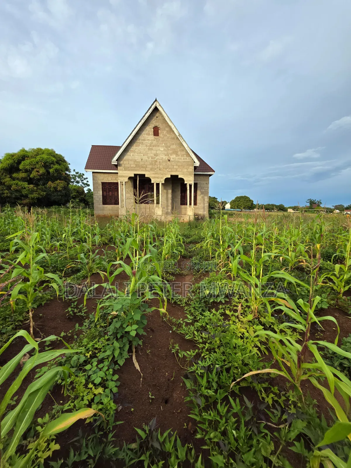 3bdrm House in Nyamhongolo, Ilemela Ward for sale