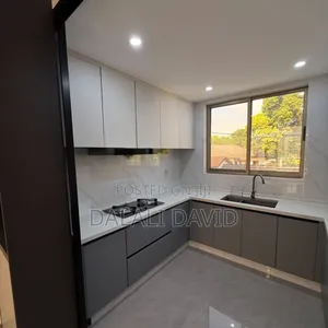 Furnished 3bdrm Apartment in Oysterbay for rent