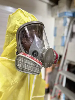 Full Face Mask
