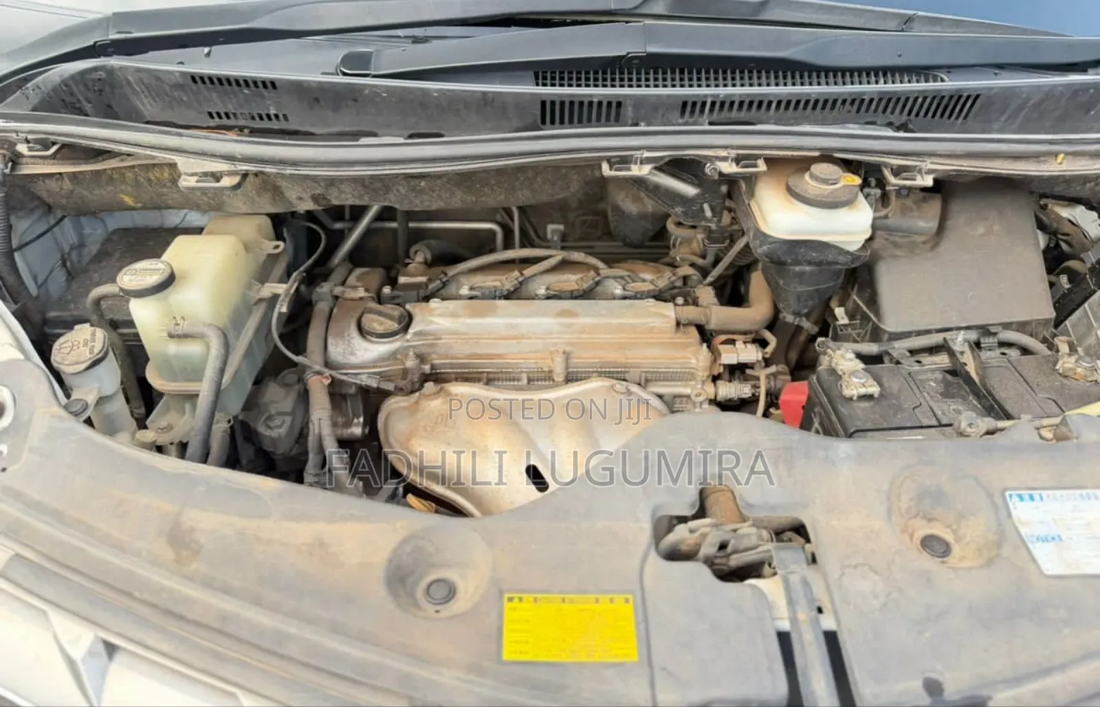 Toyota Alphard 2010 White