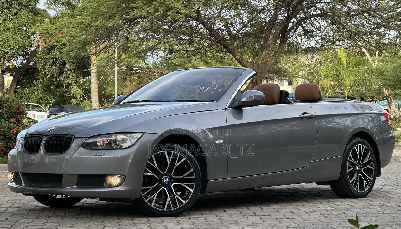 BMW 3 Series 2010 Gray