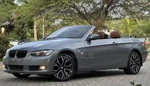 BMW 3 Series 2010 Gray