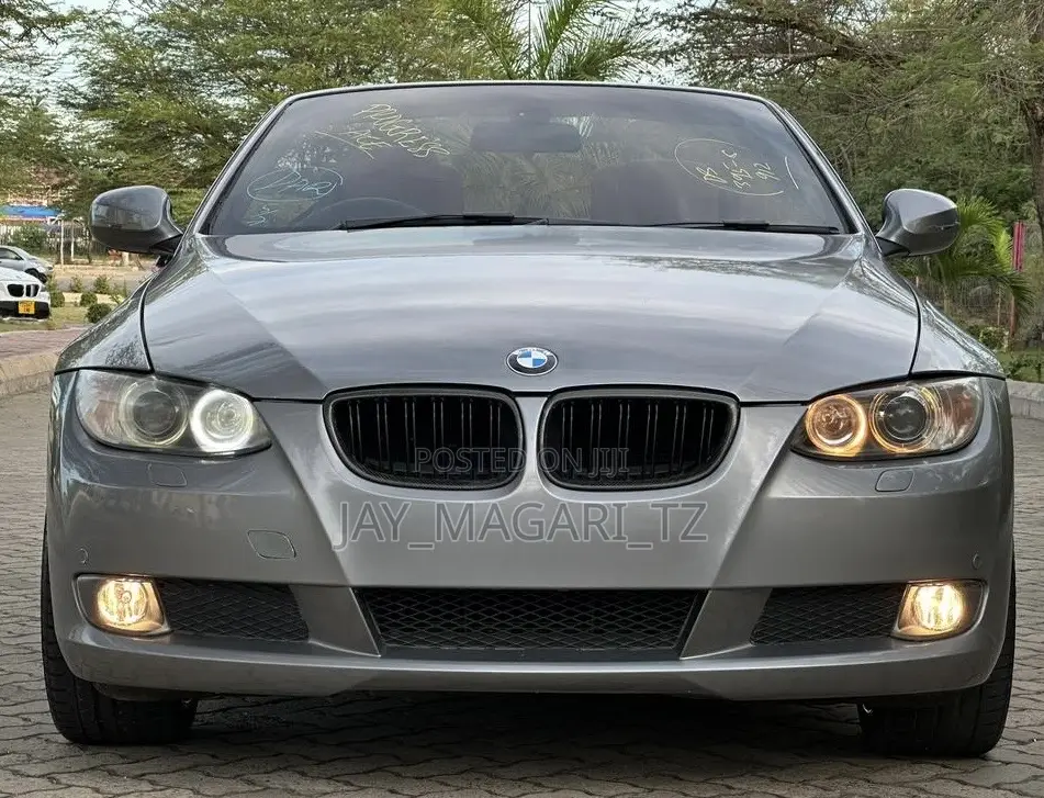 BMW 3 Series 2010 Gray