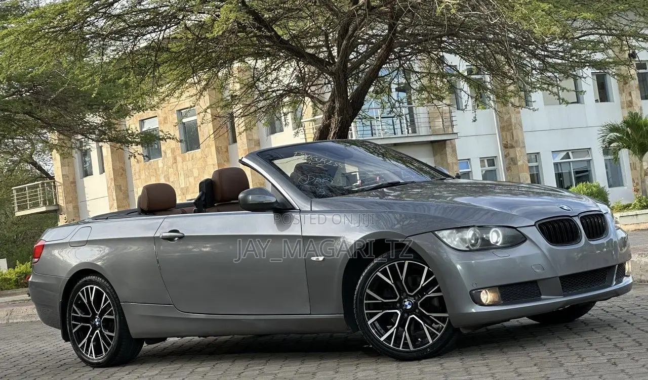 BMW 3 Series 2010 Gray
