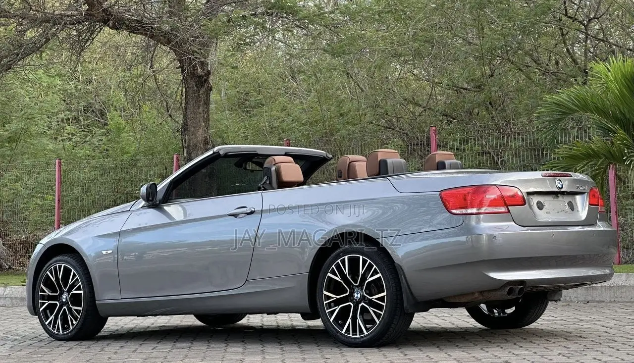 BMW 3 Series 2010 Gray