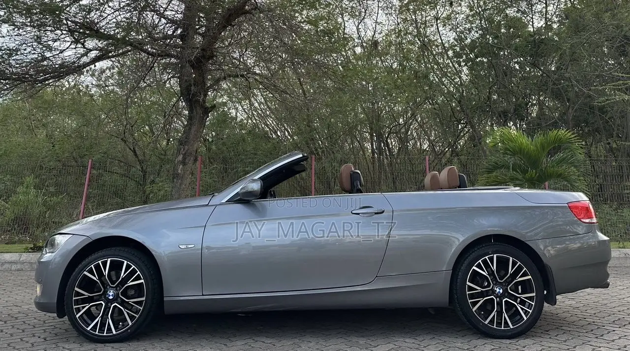 BMW 3 Series 2010 Gray