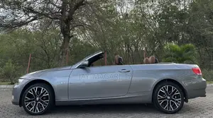 BMW 3 Series 2010 Gray