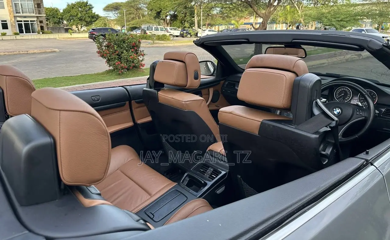 BMW 3 Series 2010 Gray
