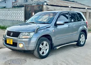 Suzuki Escudo 2009 Gray