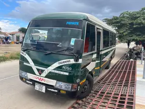 Mitsubishi Rosa 2000 Green