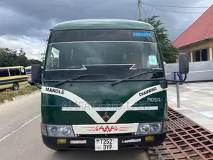 Mitsubishi Rosa 2000 Green