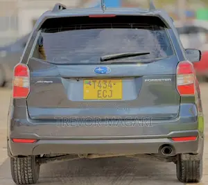Subaru Forester 2014 Gray