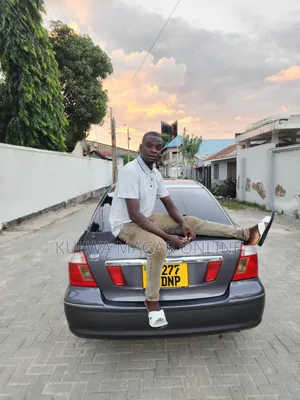 Toyota Premio 2004 Gray