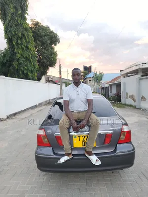 Toyota Premio 2004 Gray