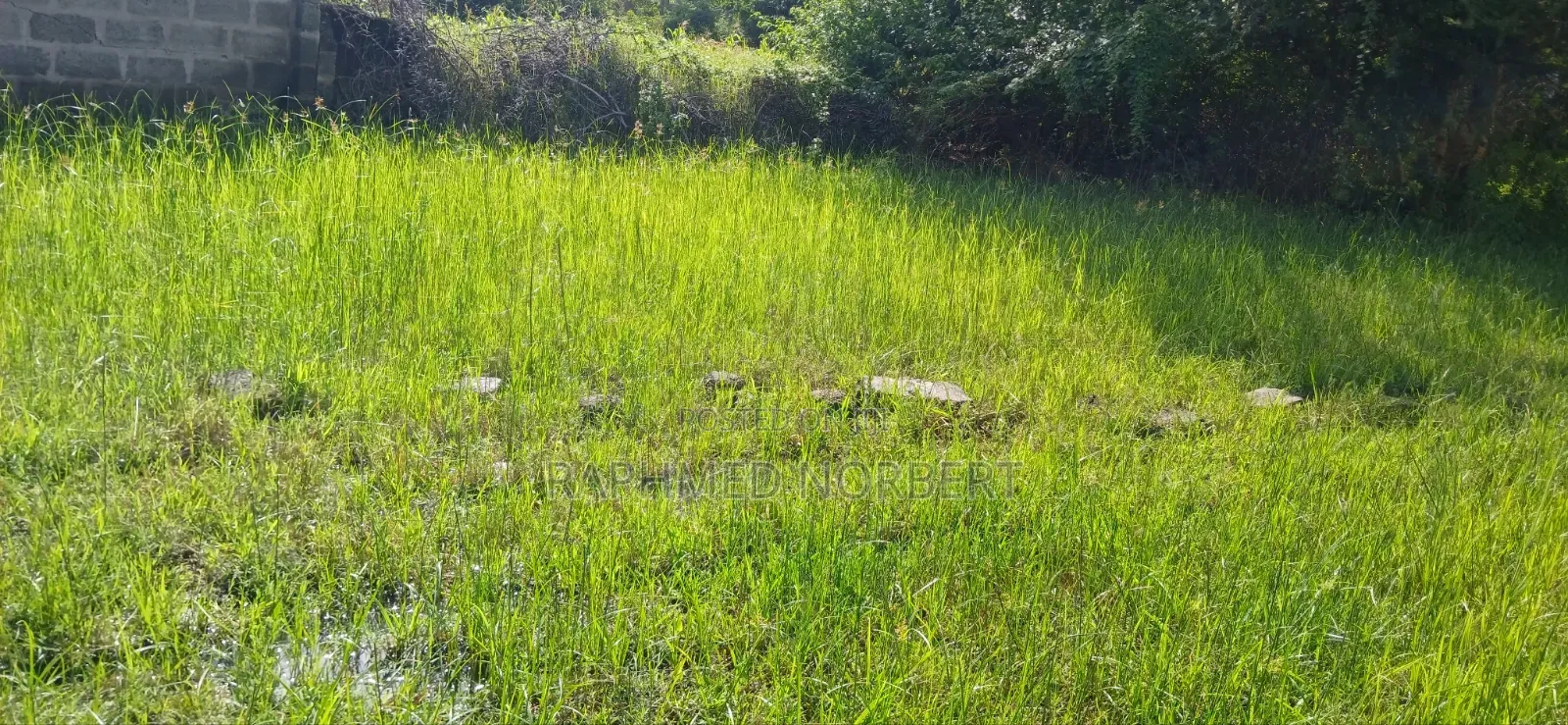 Plot for Sale in Njiro-Arusha,The United Republic of Tanzania