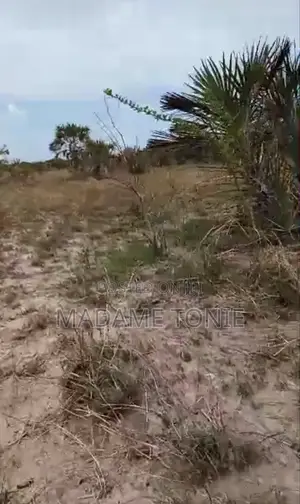 Kigamboni Buyuni Kiwanja Kizuri