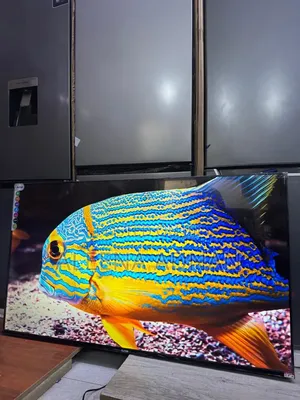 Alitop Smart Tv(Webos)