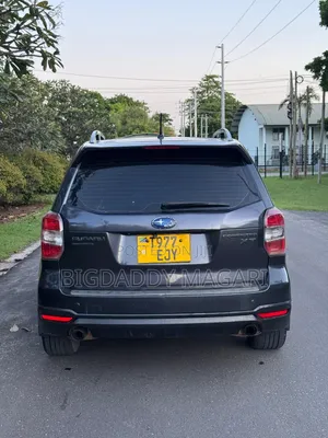 Subaru Forester 2014 Gray